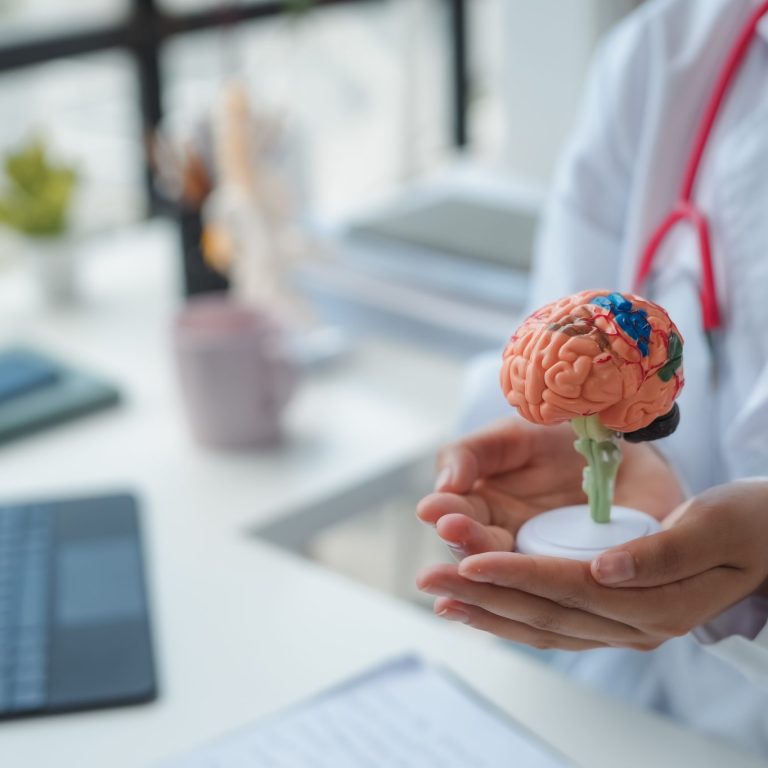 Medical professional is holding a brain model in their hands, potentially for use in patient education or to illustrate a neurological point